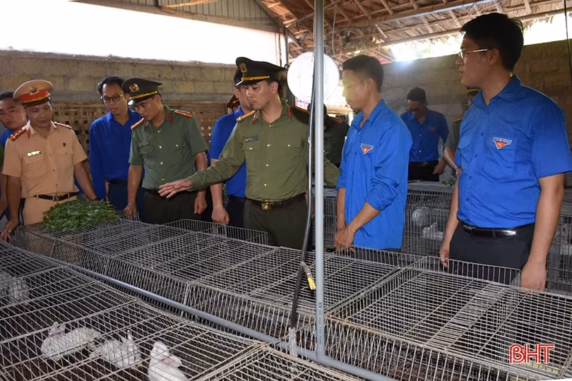 Hưởng ứng Chiến dịch “Thanh niên tình nguyện” tại Hà Tĩnh