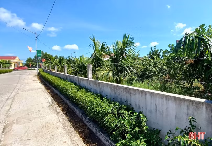 Các đảng viên mới ở huyện Kỳ Anh phát huy vai trò tiên phong, gương mẫu