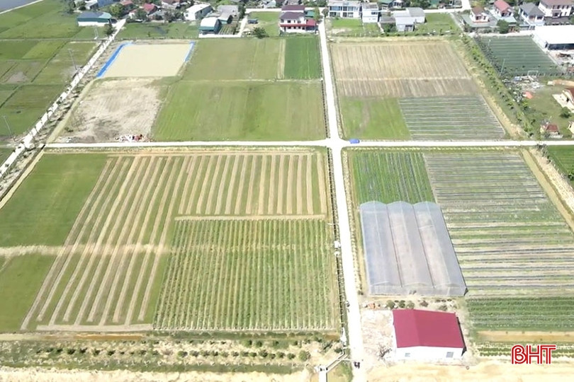 5 sản phẩm nông nghiệp đầu tiên của TP Hà Tĩnh đạt chuẩn hữu cơ