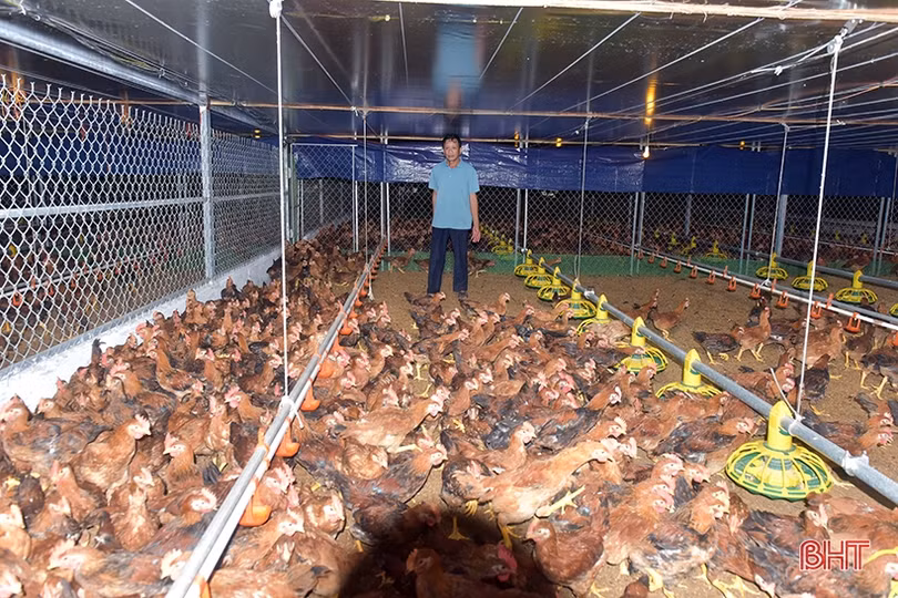 Đam mê dẫn lối thành công với trang trại nông nghiệp công nghệ cao