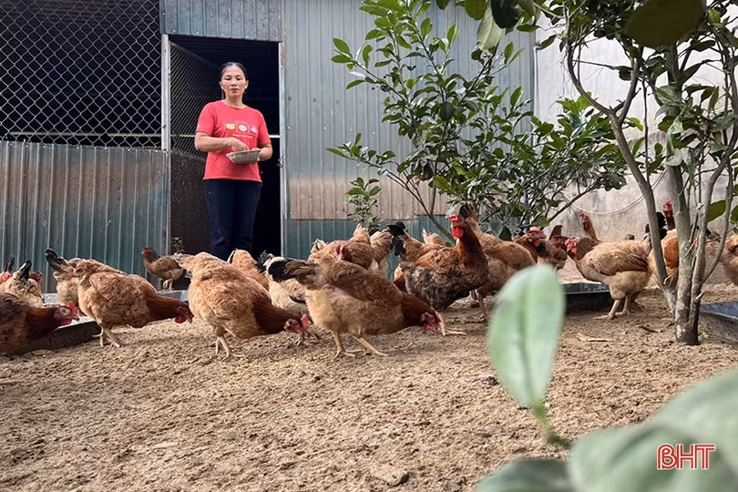 Phụ nữ Hà Tĩnh góp phần gìn giữ, vun đắp giá trị tốt đẹp của gia đình Việt