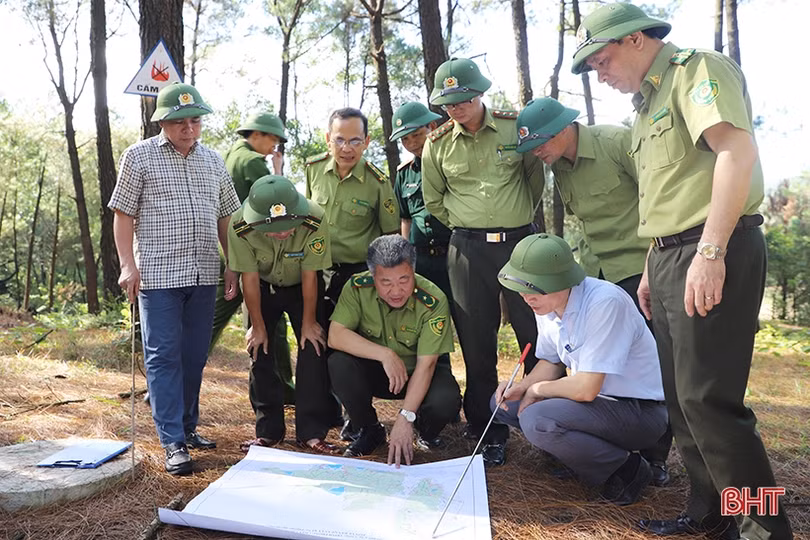 Tiếp tục thực hiện tốt các biện pháp phòng chống cháy rừng tại Hà Tĩnh