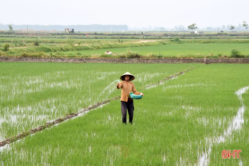 Tạo đột phá cho đồng ruộng Lộc Hà