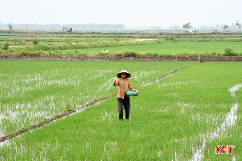 Tạo đột phá cho đồng ruộng Lộc Hà