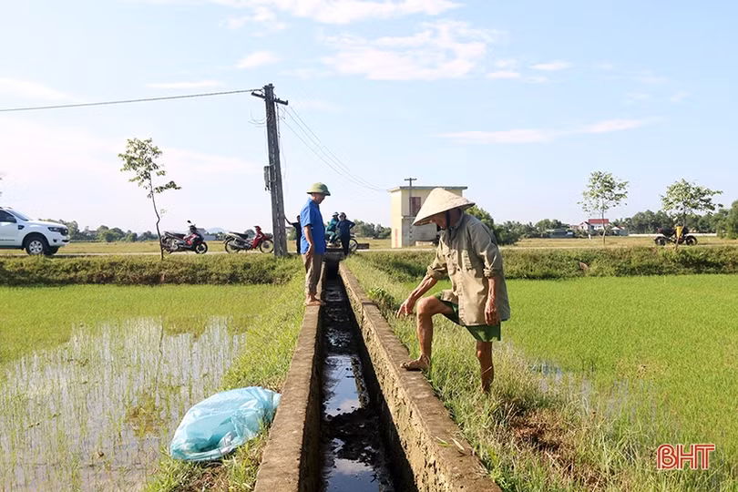 Đồng lúa An Dũng - bao giờ hết cảnh chờ mưa?