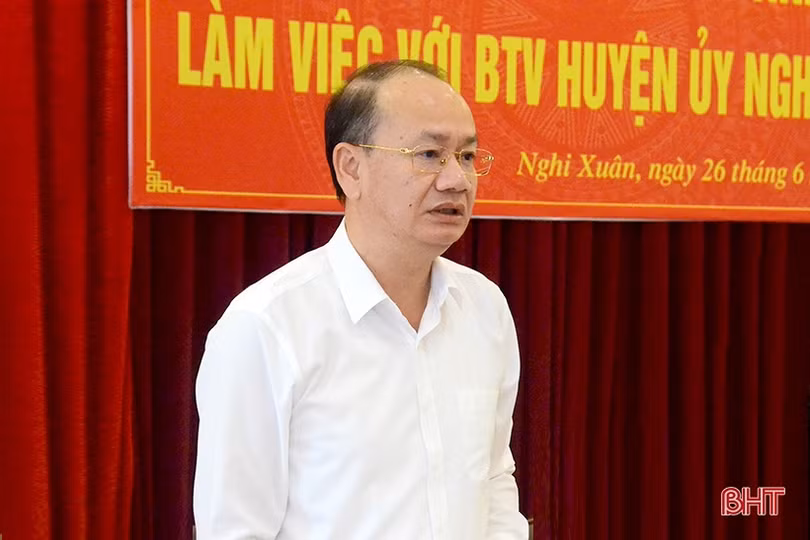 Nghi Xuân cần quyết liệt trong xây dựng huyện đạt chuẩn nông thôn mới kiểu mẫu
