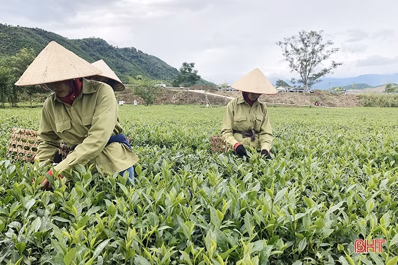 Xuất khẩu Hà Tĩnh nỗ lực “cán đích” 2 tỷ USD