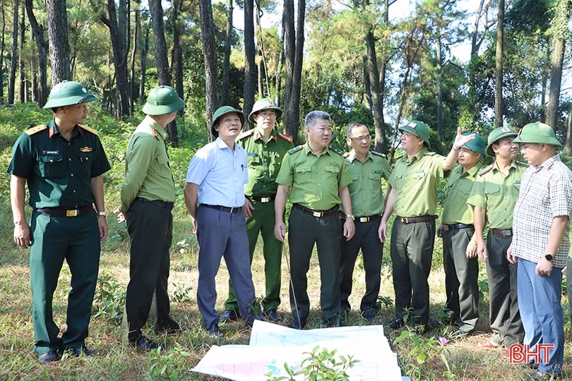 Tiếp tục thực hiện tốt các biện pháp phòng chống cháy rừng tại Hà Tĩnh