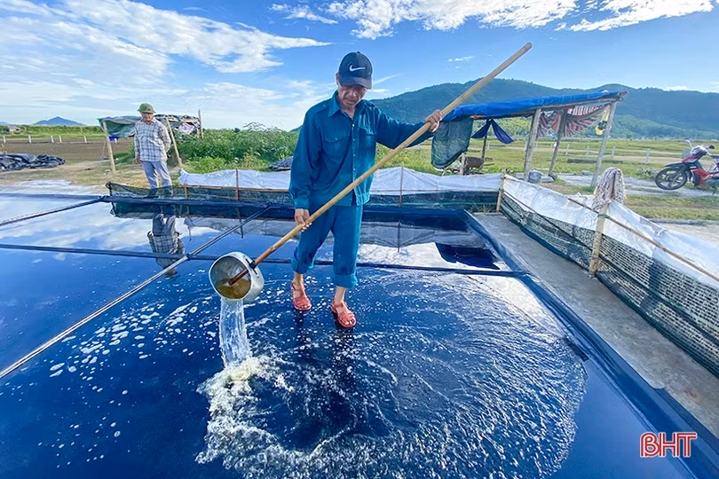 Người dân Hà Tĩnh sản xuất muối sạch bằng phương pháp mới, năng suất tăng 30 - 40%