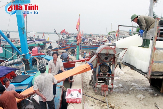 “Hồi sinh” cảng cá Cửa Sót ảnh 2 “Hồi sinh” cảng cá Cửa Sót ảnh 2