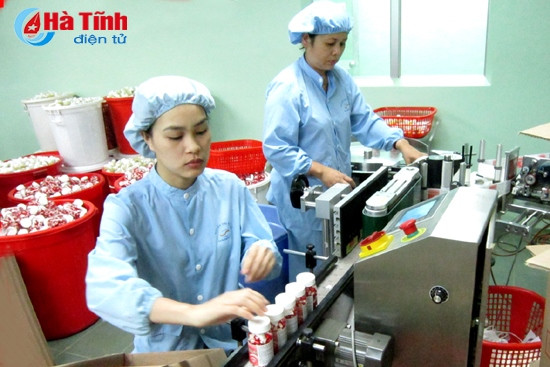 Đẩy mạnh phát triển Đảng trong doanh nghiệp ngoài nhà nước ảnh 1