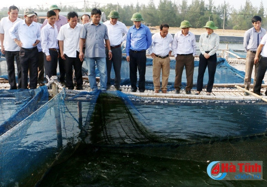 Đoàn cán bộ tỉnh Sơn La tham quan các mô hình kinh tế tại Hà Tĩnh ảnh 3