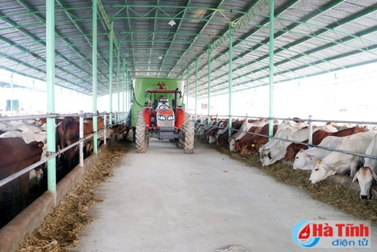 Đoàn cán bộ tỉnh Sơn La tham quan các mô hình kinh tế tại Hà Tĩnh ảnh 4