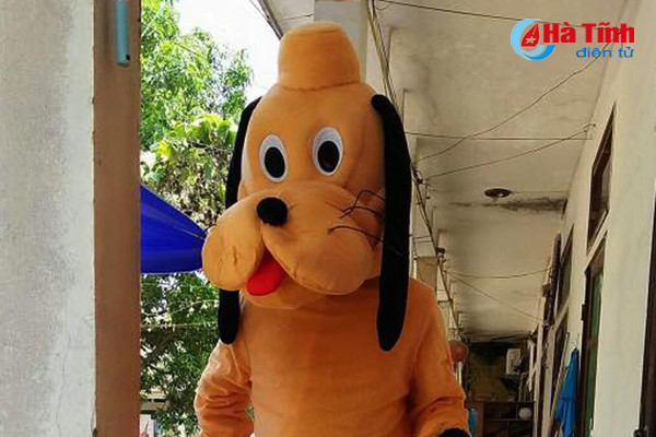 moi la dich vu xong dat dau nam