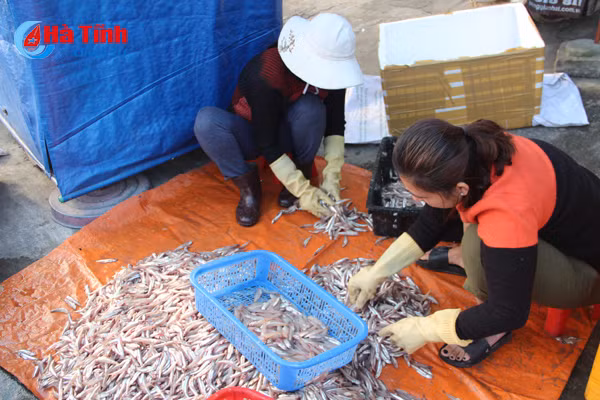 ngu dan ha tinh don loc bien ngay cuoi nam