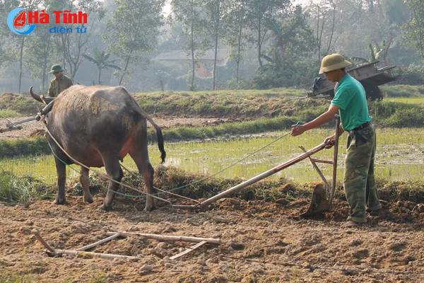 tet cham ngo nong dan van hang say ngoai dong