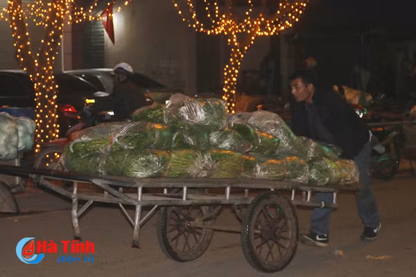 video nhon nhip cho dem ngay cuoi nam