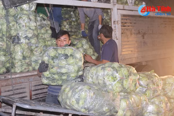 video nhon nhip cho dem ngay cuoi nam