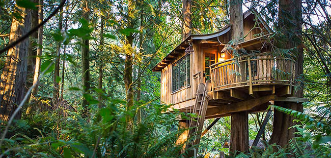 nhung khach san tren cay khien du khach me man vi qua tuyet voi