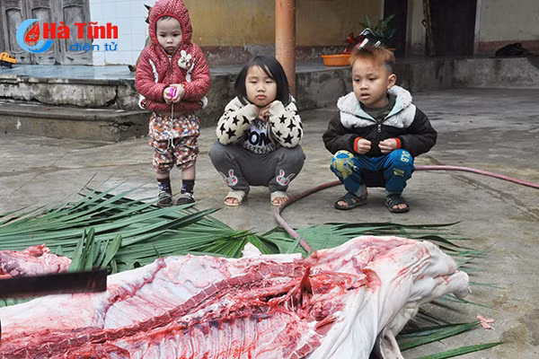 photo vui nhu dau thit lon an tet