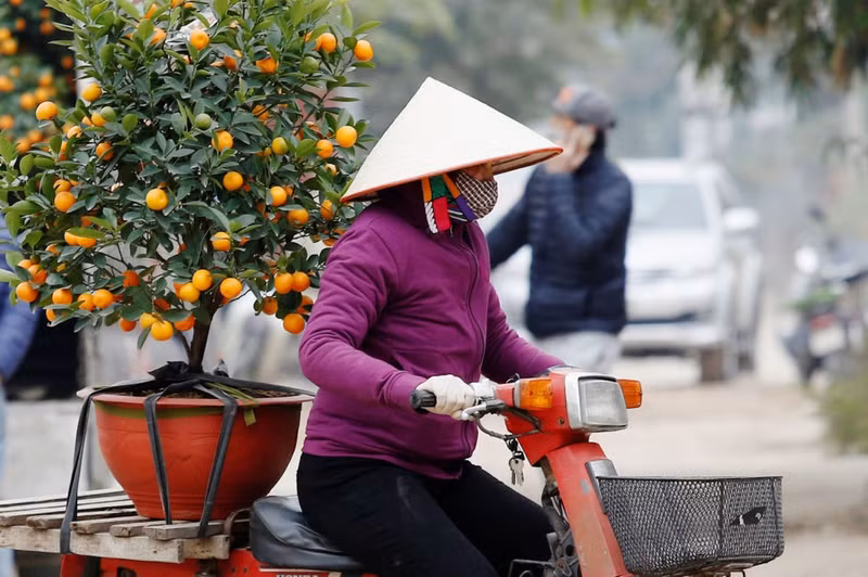 don tet mau tuat o viet nam qua ong kinh cac hang thong tan noi tieng