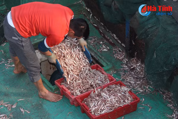 ngu dan ha tinh don loc bien ngay cuoi nam