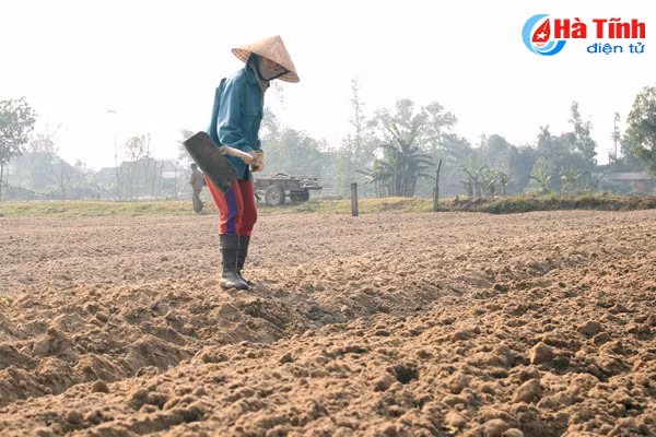 tet cham ngo nong dan van hang say ngoai dong