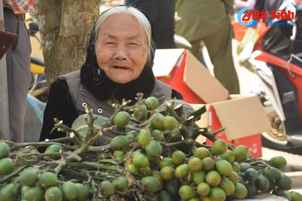 net dep cho que ngay tet