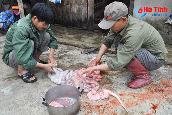 photo vui nhu dau thit lon an tet