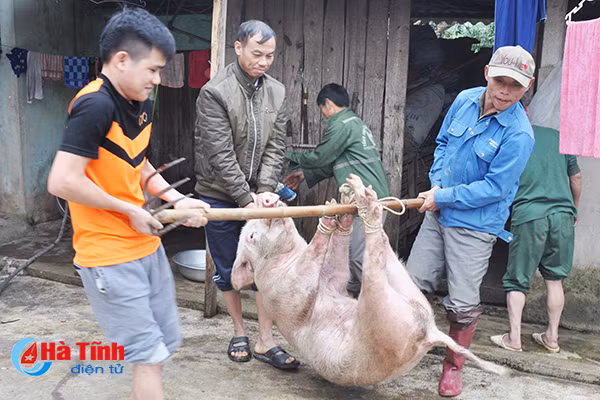 photo vui nhu dau thit lon an tet