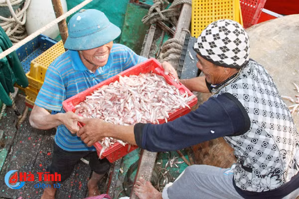 ngu dan ha tinh don loc bien ngay cuoi nam