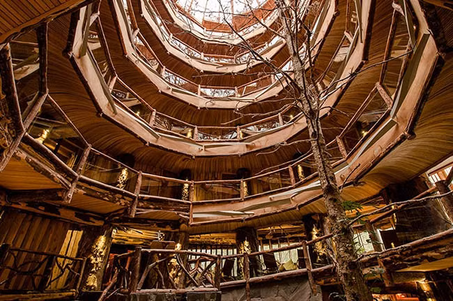 nhung khach san tren cay khien du khach me man vi qua tuyet voi