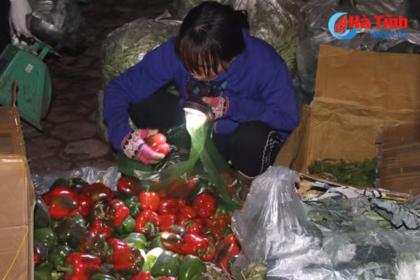 video nhon nhip cho dem ngay cuoi nam