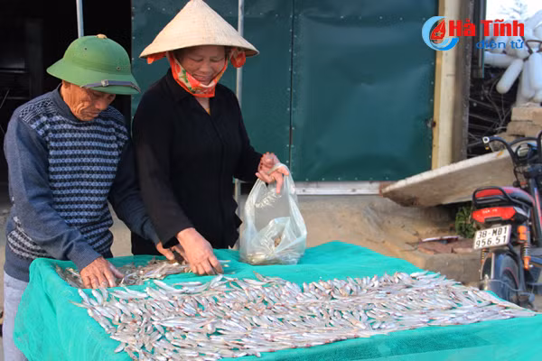 ngu dan ha tinh don loc bien ngay cuoi nam