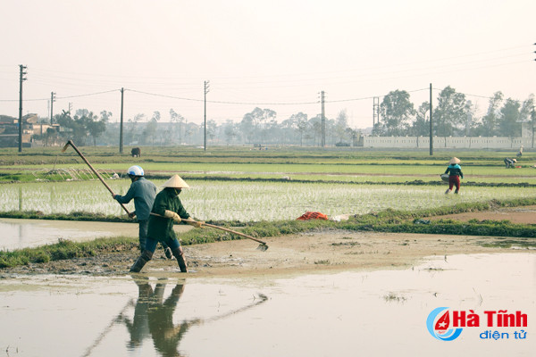tet cham ngo nong dan van hang say ngoai dong