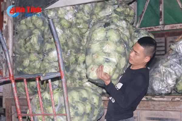 video nhon nhip cho dem ngay cuoi nam