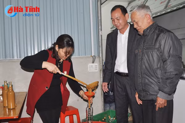 ruoi cay nghi xuan thom ngon kho cuong