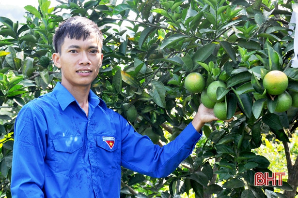 Đại hội Hội LHTN Việt Nam tỉnh Hà Tĩnh: Gửi niềm tin, trao hy vọng... ảnh 6 Đại hội Hội LHTN Việt Nam tỉnh Hà Tĩnh: Gửi niềm tin, trao hy vọng...