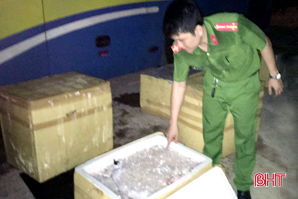 Bắt giữ xe ô tô chở 1 tấn thịt mèo bốc mùi hôi thối chạy qua Hà Tĩnh