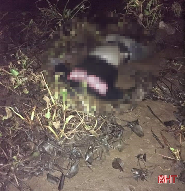 Phát hiện nam thanh niên chết trong rừng đước ở xã Thạch Môn