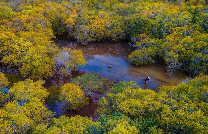 Phong cảnh khắp Việt Nam nhìn từ trên cao