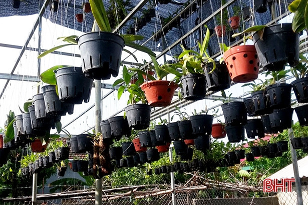 Nhiều hoạt động hưởng ứng Đại hội Hội LHTN Việt Nam tỉnh Hà Tĩnh