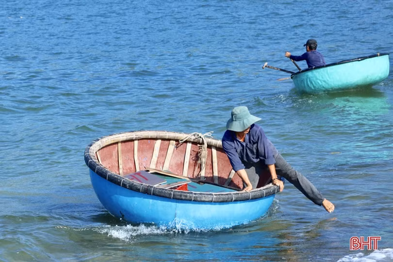 Hơn 1 tuần, ngư dân ở Hà Tĩnh trúng đậm gần 10 tấn mực, thu 2,8 tỷ đồng