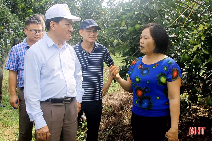 Hà Tĩnh năng động sáng tạo, có nhiều cách làm hay trong xây dựng NTM