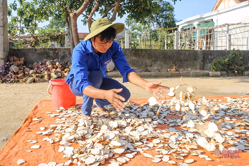 Nuôi lợn rừng, bí thư đoàn xã ở Hà Tĩnh thu 200 triệu đồng/năm