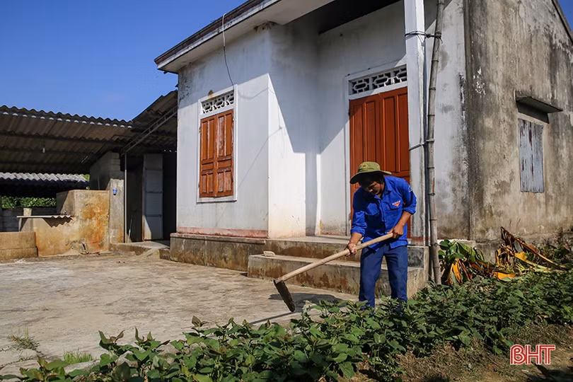 Nuôi lợn rừng, bí thư đoàn xã ở Hà Tĩnh thu 200 triệu đồng/năm