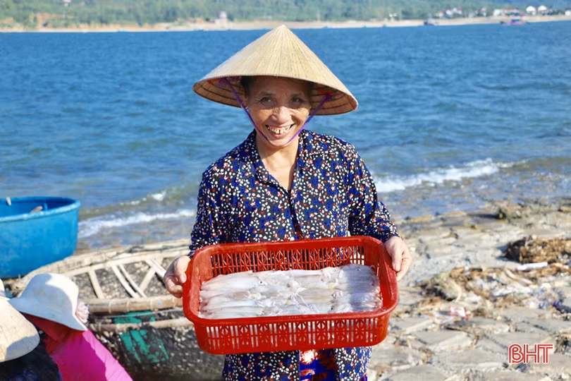 Hơn 1 tuần, ngư dân ở Hà Tĩnh trúng đậm gần 10 tấn mực, thu 2,8 tỷ đồng