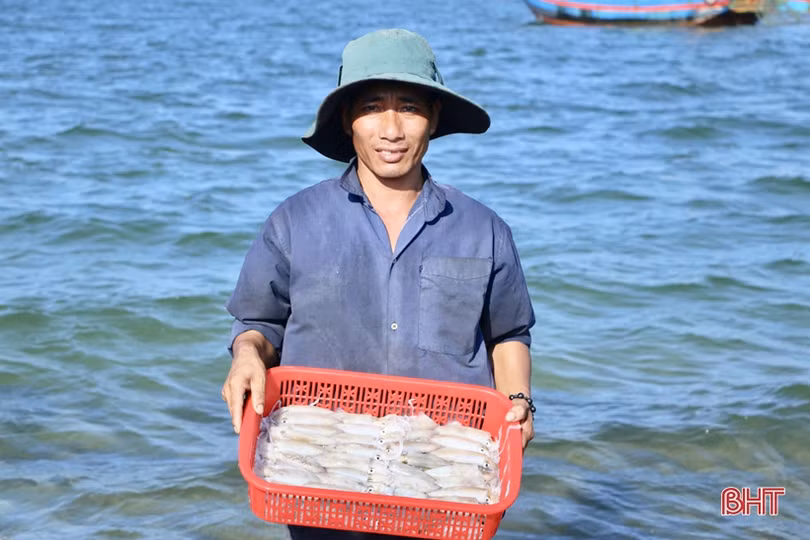 Hơn 1 tuần, ngư dân ở Hà Tĩnh trúng đậm gần 10 tấn mực, thu 2,8 tỷ đồng