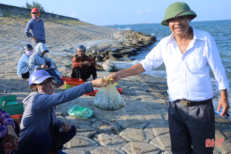 Hơn 1 tuần, ngư dân ở Hà Tĩnh trúng đậm gần 10 tấn mực, thu 2,8 tỷ đồng