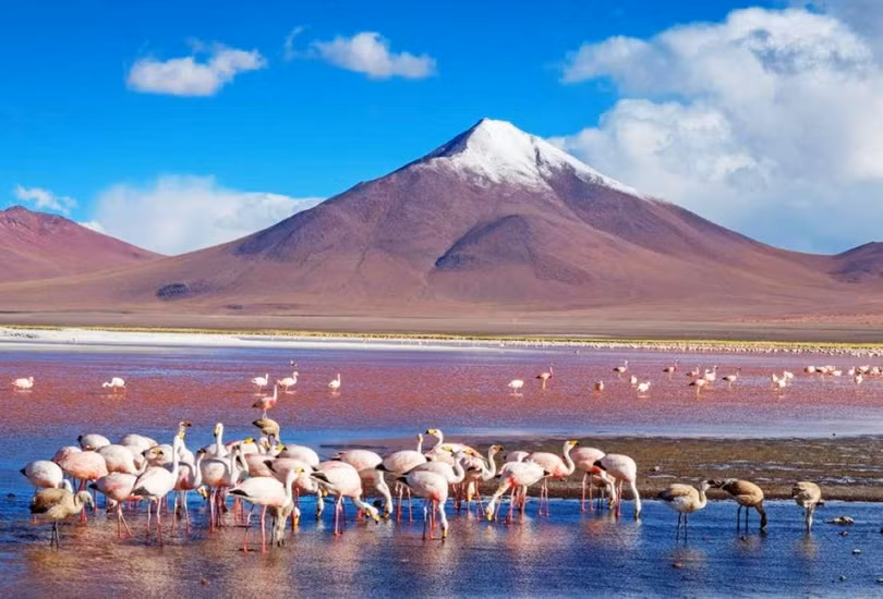 10 điểm du lịch nhuộm sắc hồng trên khắp thế giới